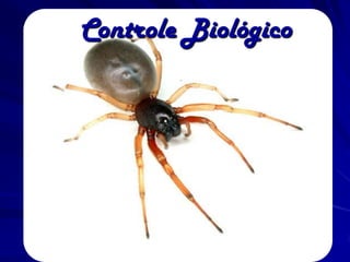 Controle Biológico
 