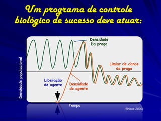 Um programa de controle
biológico de sucesso deve atuar:
                                                 Densidade
                                                 Da praga
Densidade populacional




                                                             Limiar de danos
                                                                da praga


                         Liberação
                         do agente   Densidade
                                     do agente



                                     Tempo
                                                                    (Briese 2000)
 
