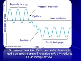 População de praga
                                                 “Predador” introduzido
Densidade da praga




                                             Equilíbrio
                                                             Limiar econômico




                                Equilíbrio
                                                          População de praga

                                             Tempo
                      O controle biológico clássico no qual a abundancia
                     média da espécie praga é reduzida após a introdução
                                    de um inimigo natural.
 