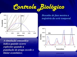 Controle Biológico
                              Desenho de fase mostra a
                              trajetória da serie temporal.




A simulação estocastica
indica quando ocorre
explosões quando a
população de praga excede o
limiar econômico;
 