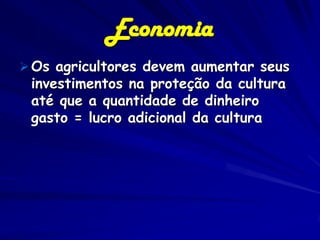 Economia
 Os agricultores devem aumentar seus
 investimentos na proteção da cultura
 até que a quantidade de dinheiro
 ga...