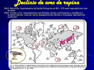 Declínio de aves de rapina
1963 Ratcliffe: levantamento do falcão Peregrino no RU – 1/5 aves reproduzirem com
   sucesso
1...