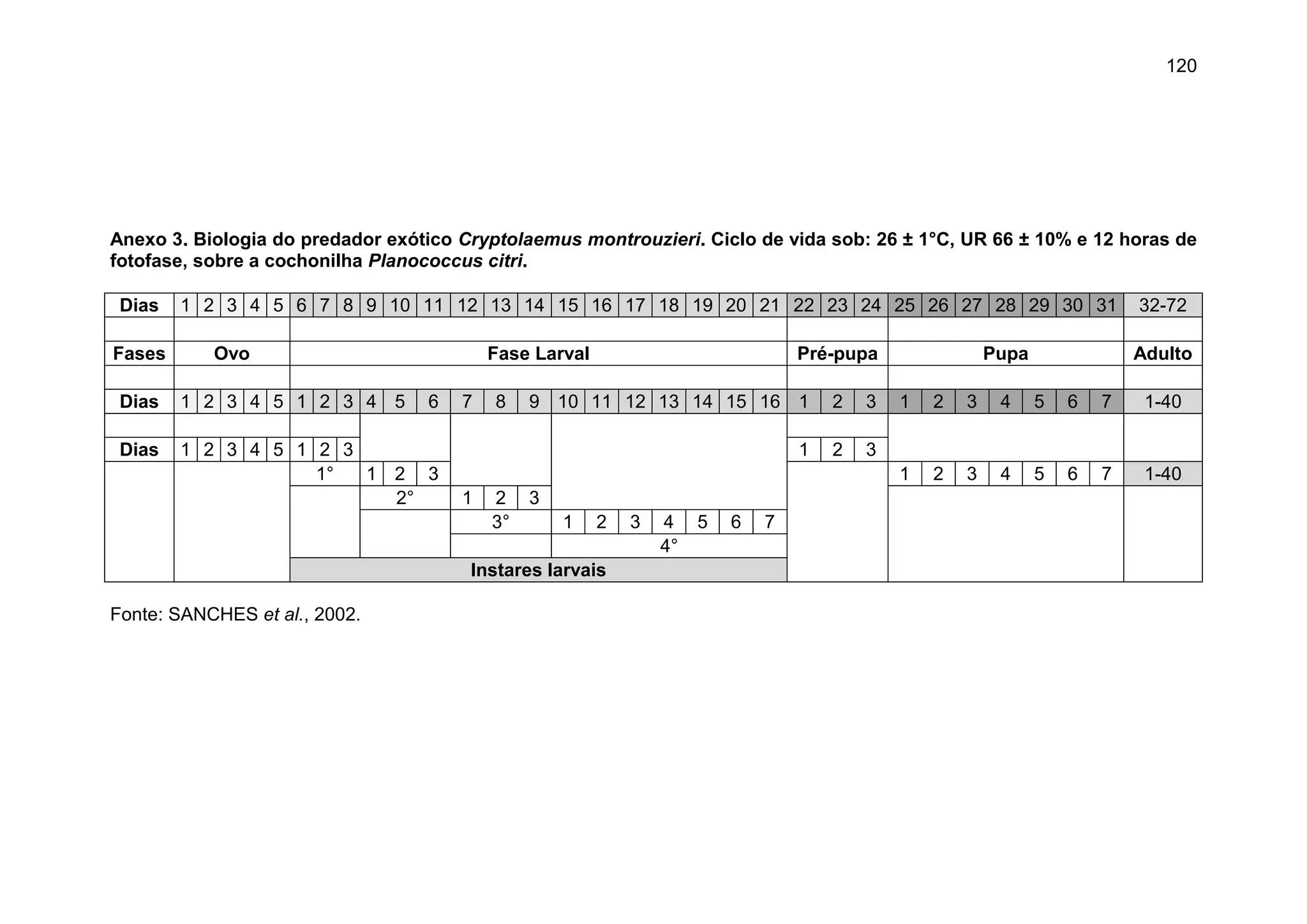 120
Anexo 3. Biologia do predador exótico Cryptolaemus montrouzieri. Ciclo de vida sob: 26 ± 1°C, UR 66 ± 10% e 12 horas de
fotofase, sobre a cochonilha Planococcus citri.
Dias 1 2 3 4 5 6 7 8 9 10 11 12 13 14 15 16 17 18 19 20 21 22 23 24 25 26 27 28 29 30 31 32-72
Fases Ovo Fase Larval Pré-pupa Pupa Adulto
Dias 1 2 3 4 5 1 2 3 4 5 6 7 8 9 10 11 12 13 14 15 16 1 2 3 1 2 3 4 5 6 7 1-40
Dias 1 2 3 4 5 1 2 3 1 2 3
1° 1 2 3 1 2 3 4 5 6 7 1-40
2° 1 2 3
3° 1 2 3 4 5 6 7
4°
Instares larvais
Fonte: SANCHES et al., 2002.
 