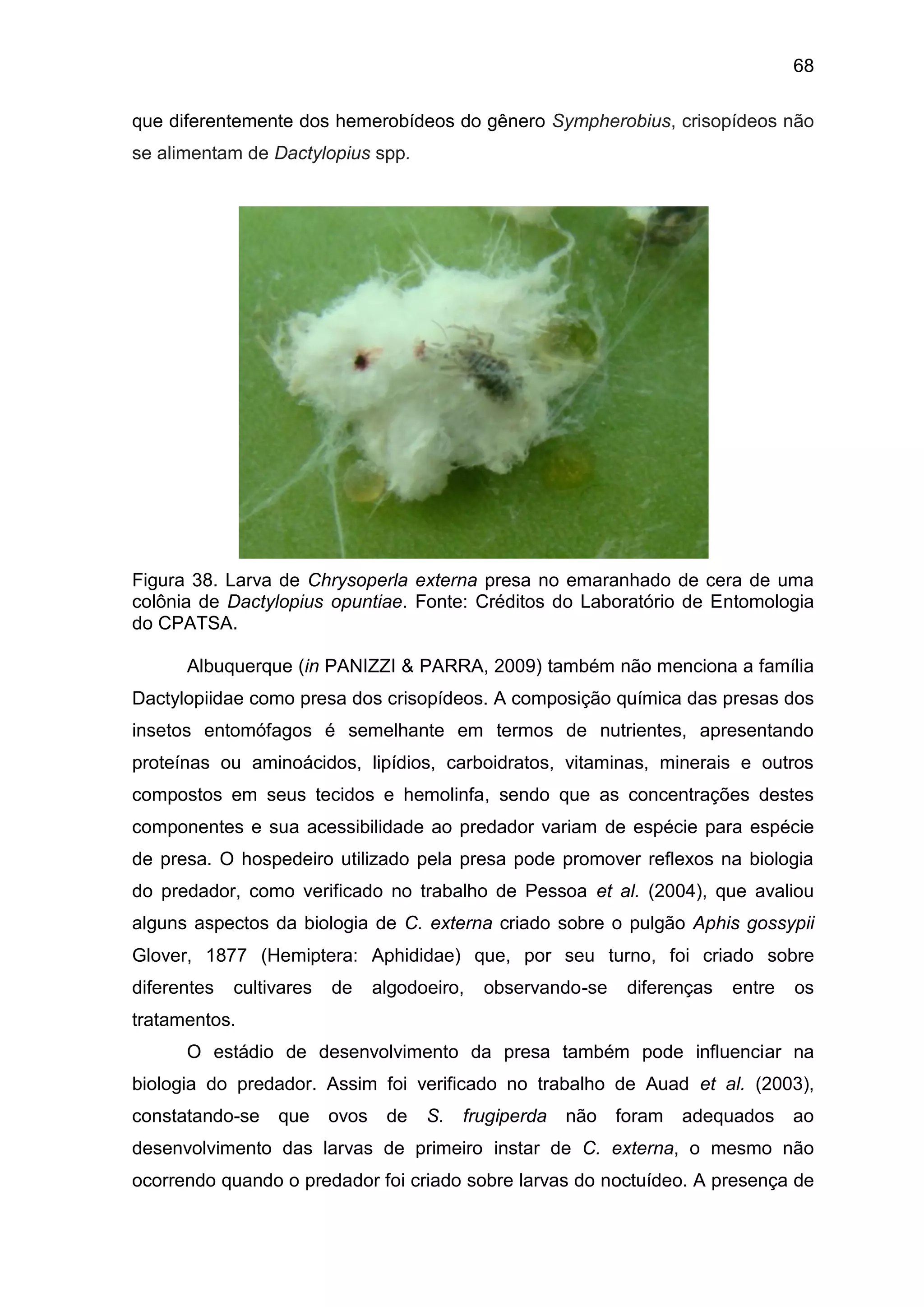 68
que diferentemente dos hemerobídeos do gênero Sympherobius, crisopídeos não
se alimentam de Dactylopius spp.
Figura 38. Larva de Chrysoperla externa presa no emaranhado de cera de uma
colônia de Dactylopius opuntiae. Fonte: Créditos do Laboratório de Entomologia
do CPATSA.
Albuquerque (in PANIZZI & PARRA, 2009) também não menciona a família
Dactylopiidae como presa dos crisopídeos. A composição química das presas dos
insetos entomófagos é semelhante em termos de nutrientes, apresentando
proteínas ou aminoácidos, lipídios, carboidratos, vitaminas, minerais e outros
compostos em seus tecidos e hemolinfa, sendo que as concentrações destes
componentes e sua acessibilidade ao predador variam de espécie para espécie
de presa. O hospedeiro utilizado pela presa pode promover reflexos na biologia
do predador, como verificado no trabalho de Pessoa et al. (2004), que avaliou
alguns aspectos da biologia de C. externa criado sobre o pulgão Aphis gossypii
Glover, 1877 (Hemiptera: Aphididae) que, por seu turno, foi criado sobre
diferentes cultivares de algodoeiro, observando-se diferenças entre os
tratamentos.
O estádio de desenvolvimento da presa também pode influenciar na
biologia do predador. Assim foi verificado no trabalho de Auad et al. (2003),
constatando-se que ovos de S. frugiperda não foram adequados ao
desenvolvimento das larvas de primeiro instar de C. externa, o mesmo não
ocorrendo quando o predador foi criado sobre larvas do noctuídeo. A presença de
 