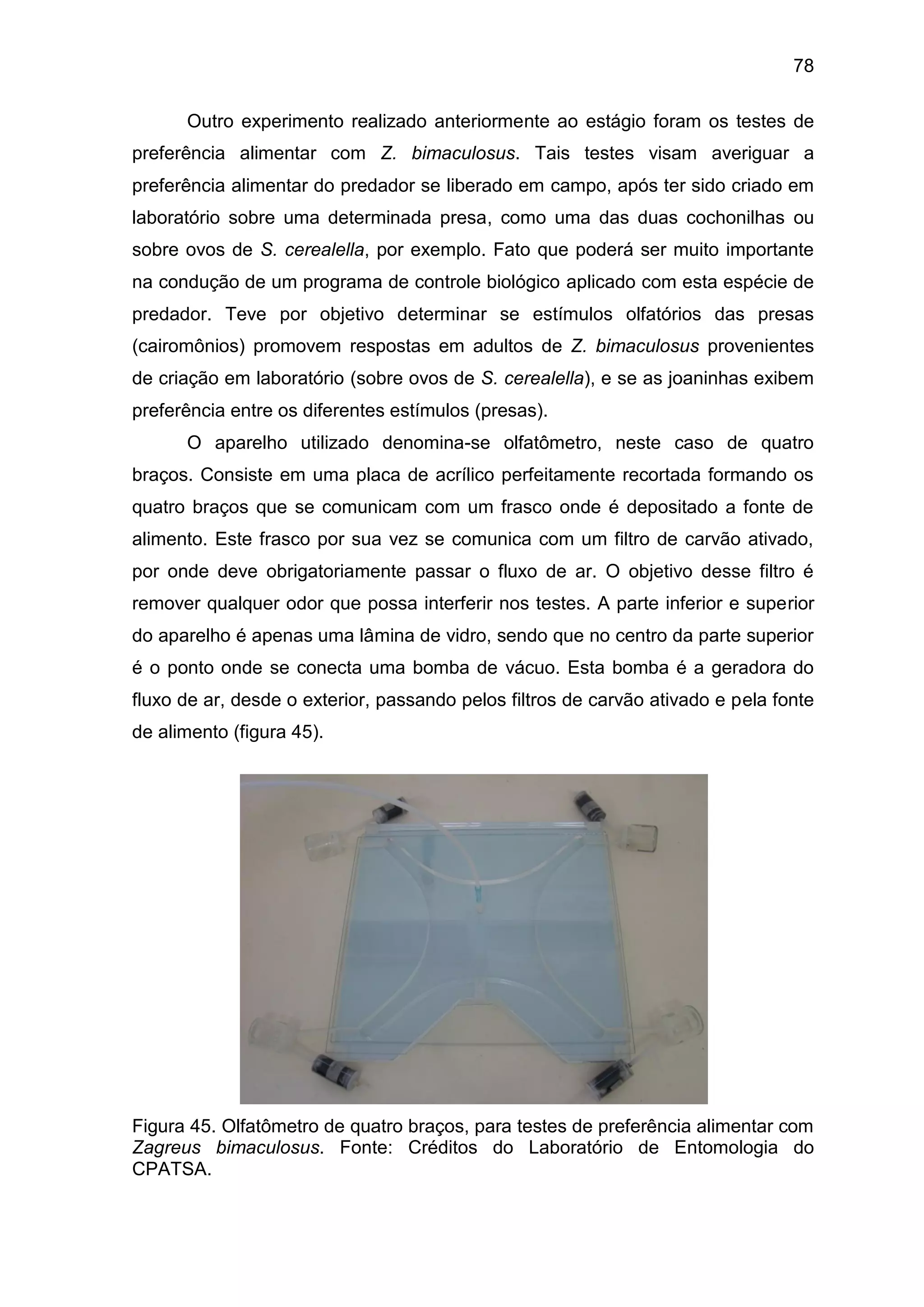 78
Outro experimento realizado anteriormente ao estágio foram os testes de
preferência alimentar com Z. bimaculosus. Tais testes visam averiguar a
preferência alimentar do predador se liberado em campo, após ter sido criado em
laboratório sobre uma determinada presa, como uma das duas cochonilhas ou
sobre ovos de S. cerealella, por exemplo. Fato que poderá ser muito importante
na condução de um programa de controle biológico aplicado com esta espécie de
predador. Teve por objetivo determinar se estímulos olfatórios das presas
(cairomônios) promovem respostas em adultos de Z. bimaculosus provenientes
de criação em laboratório (sobre ovos de S. cerealella), e se as joaninhas exibem
preferência entre os diferentes estímulos (presas).
O aparelho utilizado denomina-se olfatômetro, neste caso de quatro
braços. Consiste em uma placa de acrílico perfeitamente recortada formando os
quatro braços que se comunicam com um frasco onde é depositado a fonte de
alimento. Este frasco por sua vez se comunica com um filtro de carvão ativado,
por onde deve obrigatoriamente passar o fluxo de ar. O objetivo desse filtro é
remover qualquer odor que possa interferir nos testes. A parte inferior e superior
do aparelho é apenas uma lâmina de vidro, sendo que no centro da parte superior
é o ponto onde se conecta uma bomba de vácuo. Esta bomba é a geradora do
fluxo de ar, desde o exterior, passando pelos filtros de carvão ativado e pela fonte
de alimento (figura 45).
Figura 45. Olfatômetro de quatro braços, para testes de preferência alimentar com
Zagreus bimaculosus. Fonte: Créditos do Laboratório de Entomologia do
CPATSA.
 