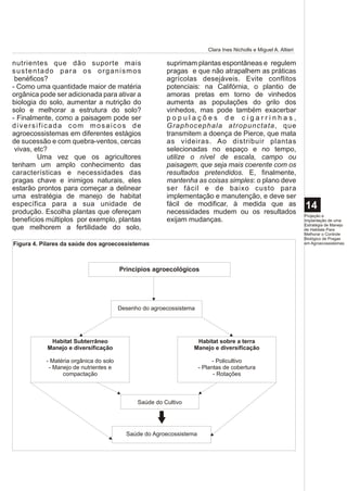 Clara Ines Nicholls e Miguel A. Altieri

nutrientes que dão suporte mais                           suprimam plantas espontâneas e regulem
s u s t e n ta d o pa r a o s o r g a n i s m o s         pragas e que não atrapalhem as práticas
 benéficos?                                               agrícolas desejáveis. Evite conflitos
- Como uma quantidade maior de matéria                    potenciais: na Califórnia, o plantio de
orgânica pode ser adicionada para ativar a                amoras pretas em torno de vinhedos
biologia do solo, aumentar a nutrição do                  aumenta as populações do grilo dos
solo e melhorar a estrutura do solo?                      vinhedos, mas pode também exacerbar
- Finalmente, como a paisagem pode ser                    populações de cigarrinhas,
diversificada com mosaicos de                             Graphocephala atropunctata, que
agroecossistemas em diferentes estágios                   transmitem a doença de Pierce, que mata
de sucessão e com quebra-ventos, cercas                   as videiras. Ao distribuir plantas
 vivas, etc?                                              selecionadas no espaço e no tempo,
           Uma vez que os agricultores                    utilize o nível de escala, campo ou
tenham um amplo conhecimento das                          paisagem, que seja mais coerente com os
características e necessidades das                        resultados pretendidos. E, finalmente,
pragas chave e inimigos naturais, eles                    mantenha as coisas simples: o plano deve
estarão prontos para começar a delinear                   ser fácil e de baixo custo para
uma estratégia de manejo de habitat                       implementação e manutenção, e deve ser
específica para a sua unidade de                          fácil de modificar, à medida que as                       14
produção. Escolha plantas que ofereçam                    necessidades mudem ou os resultados                       Projeção e
benefícios múltiplos por exemplo, plantas                 exijam mudanças.                                          Implantação de uma
                                                                                                                    Estratégia de Manejo
que melhorem a fertilidade do solo,                                                                                 de Habitats Para
                                                                                                                    Melhorar o Controle
                                                                                                                    Biológico de Pragas
Figura 4. Pilares da saúde dos agroecossistemas                                                                     em Agroecossistemas




                                          Princípios agroecológicos




                                          Desenho do agroecossistema




              Habitat Subterrâneo                                   Habitat sobre a terra
             Manejo e diversificação                               Manejo e diversificação

             - Matéria orgânica do solo                                      - Policultivo
              - Manejo de nutrientes e                                 - Plantas de cobertura
                   compactação                                               - Rotações



                                                Saúde do Cultivo




                                            Saúde do Agroecossistema
 
