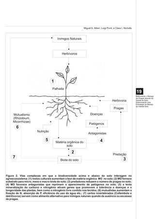 Miguel A. Altieri, Luigi Ponti, e Clara I. Nicholls



                                         Inimigos Naturais



                                            Herbívoros




                                    1
                                     Palhada
                                                                                                                    19
                                                                                                                    Melhorando o Manejo
                                                                                                                    de Pragas através da
                                                                                            Herbivoria              Saúde do Solo:
                                                                                                                    Direcionando uma
                                                                                                                    Estratégia de Manejo
                                                                                                                    do Habitat Solo
                                                                                             Pragas

     Mutualismo                                                     Doenças
     (Rhizobium,
     Micorrhizae)
                                                                   Patógenos
         6
                        Nutrição
                                                                  Antagonistas

                               5        Matéria orgânica do                    4
                                                solo

                                                    2                                        Predação
     7                                                                                                  3
                                           Biota do solo




Figura 2. Vias complexas em que a biodiversidade acima e abaixo do solo interagem no
agroecossistema: (1) restos culturais aumentam o teor de matéria orgânica MO no solo; (2) MO fornece
substrato para micro, meso e macro biota do solo; (3) predadores reduzem o número de pragas no solo;
(4) MO favorece antagonistas que reprimem o aparecimento de patógenos no solo; (5) a lenta
mineralização do carbono e nitrogênio ativam genes que promovem a tolerância a doenças e a
longevidade das plantas, bem como o nitrogênio livre contido nos tecidos; (6) mutualistas aumentam a
fixação de N, absorção de P, eficiência do uso da água etc.; (7) certos invertebrados (Collembola e
detritívoros) servem como alimento alternativo para inimigos naturais quando da ausência ou escassez
de pragas.
 