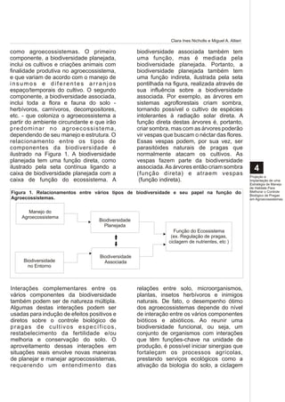 Clara Ines Nicholls e Miguel A. Altieri

como agroecossistemas. O primeiro                   biodiversidade associada também tem
componente, a biodiversidade planejada,             uma função, mas é mediada pela
inclui os cultivos e criações animais com           biodiversidade planejada. Portanto, a
finalidade produtiva no agroecossistema,            biodiversidade planejada também tem
e que variam de acordo com o manejo de              uma função indireta, ilustrada pela seta
insumos e diferentes arranjos                       pontilhada na figura, realizada através de
espaço/temporais do cultivo. O segundo              sua influência sobre a biodiversidade
componente, a biodiversidade associada,             associada. Por exemplo, as árvores em
inclui toda a flora e fauna do solo -               sistemas agroflorestais criam sombra,
herbívoros, carnívoros, decompositores,             tornando possível o cultivo de espécies
etc. - que coloniza o agroecossistema a             intolerantes à radiação solar direta. A
partir do ambiente circundante e que irão           função direta destas árvores é, portanto,
predominar no agroecossistema,                      criar sombra, mas com as árvores poderão
dependendo de seu manejo e estrutura. O             vir vespas que buscam o néctar das flores.
relacionamento entre os tipos de                    Essas vespas podem, por sua vez, ser
componentes da biodiversidade é                     parasitóides naturais de pragas que
ilustrado na Figura 1. A biodiversidade             normalmente atacam os cultivos. As
planejada tem uma função direta, como               vespas fazem parte da biodiversidade
ilustrado pela seta contínua ligando a              associada. As árvores então criam sombra                 4
caixa de biodiversidade planejada com a             (função direta) e atraem vespas                        Projeção e
caixa de função do ecossistema. A                    (função indireta).                                    Implantação de uma
                                                                                                           Estratégia de Manejo
                                                                                                           de Habitats Para
Figura 1. Relacionamentos entre vários tipos de biodiversidade e seu papel na função do                    Melhorar o Controle
                                                                                                           Biológico de Pragas
Agroecossistemas.                                                                                          em Agroecossistemas


       Manejo do
    Agroecossistema
                                   Biodiversidade
                                     Planejada
                                                                  Função do Ecossistema
                                                                 (ex. Regulação de pragas,
                                                                ciclagem de nutrientes, etc )


                                   Biodiversidade
     Biodiversidade                  Associada
       no Entorno



Interações complementares entre os                  relações entre solo, microorganismos,
vários componentes da biodiversidade                plantas, insetos herbívoros e inimigos
também podem ser de natureza múltipla.              naturais. De fato, o desempenho ótimo
Algumas destas interações podem ser                 dos agroecossistemas depende do nível
usadas para indução de efeitos positivos e          de interação entre os vários componentes
diretos sobre o controle biológico de               bióticos e abióticos. Ao reunir uma
pragas de cultivos específicos,                     biodiversidade funcional, ou seja, um
restabelecimento da fertilidade e/ou                conjunto de organismos com interações
melhoria e conservação do solo. O                   que têm funções-chave na unidade de
aproveitamento dessas interações em                 produção, é possível iniciar sinergias que
situações reais envolve novas maneiras              fortaleçam os processos agrícolas,
de planejar e manejar agroecossistemas,             prestando serviços ecológicos como a
requerendo um entendimento das                      ativação da biologia do solo, a ciclagem
 