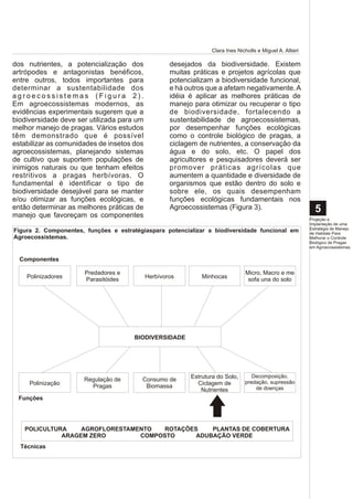 Clara Ines Nicholls e Miguel A. Altieri

dos nutrientes, a potencialização dos               desejados da biodiversidade. Existem
artrópodes e antagonistas benéficos,                muitas práticas e projetos agrícolas que
entre outros, todos importantes para                potencializam a biodiversidade funcional,
determinar a sustentabilidade dos                   e há outros que a afetam negativamente. A
agroecossistemas (Figura 2).                        idéia é aplicar as melhores práticas de
Em agroecossistemas modernos, as                    manejo para otimizar ou recuperar o tipo
evidências experimentais sugerem que a              de biodiversidade, fortalecendo a
biodiversidade deve ser utilizada para um           sustentabilidade de agroecossistemas,
melhor manejo de pragas. Vários estudos             por desempenhar funções ecológicas
têm demonstrado que é possível                      como o controle biológico de pragas, a
estabilizar as comunidades de insetos dos           ciclagem de nutrientes, a conservação da
agroecossistemas, planejando sistemas               água e do solo, etc. O papel dos
de cultivo que suportem populações de               agricultores e pesquisadores deverá ser
inimigos naturais ou que tenham efeitos             promover práticas agrícolas que
restritivos a pragas herbívoras. O                  aumentem a quantidade e diversidade de
fundamental é identificar o tipo de                 organismos que estão dentro do solo e
biodiversidade desejável para se manter             sobre ele, os quais desempenham
e/ou otimizar as funções ecológicas, e              funções ecológicas fundamentais nos
então determinar as melhores práticas de            Agroecossistemas (Figura 3).                             5
manejo que favoreçam os componentes                                                                        Projeção e
                                                                                                           Implantação de uma
                                                                                                           Estratégia de Manejo
Figura 2. Componentes, funções e estratégiaspara potencializar a biodiversidade funcional em               de Habitats Para
Agroecossistemas.                                                                                          Melhorar o Controle
                                                                                                           Biológico de Pragas
                                                                                                           em Agroecossistemas


  Componentes

                      Predadores e                                              Micro, Macro e me
    Polinizadores     Parasitóides          Herbívoros        Minhocas           sofa una do solo




                                      BIODIVERSIDADE




                                                          Estrutura do Solo,      Decomposição,
                      Regulação de       Consumo de                            predação, supressão
     Polinização        Pragas            Biomassa          Ciclagem de
                                                              Nutrientes           de doenças
 Funções




   POLICULTURA    AGROFLORESTAMENTO   ROTAÇÕES    PLANTAS DE COBERTURA
             ARAGEM ZERO        COMPOSTO      ADUBAÇÃO VERDE
  Técnicas
 