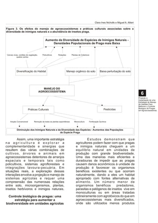 Clara Ines Nicholls e Miguel A. Altieri

Figura 3. Os efeitos do manejo de agroecossistemas e práticas culturais associadas sobre a
diversidade de inimigos naturais e a abundância de insetos praga.


                                            Aumento da Diversidade de Espécies de Inimigos Naturais -
                                                Densidades Populacionais de Praga mais Baixa


 Cercas vivas, cordões de vegetação,     Policultivos    Rotações        Plantas de Cobertura
            quebra ventos




           Diversificação do Habitat                                Manejo orgânico do solo             Baixa perturbação do solo




                                          MANEJO DO
                                       AGROECOSSISTEMA
                                                                                                                                              6
                                                                                                                                            Projeção e
                                                                                                                                            Implantação de uma
                                                                                                                                            Estratégia de Manejo
                                                                                                                                            de Habitats Para
                                                                                                                                            Melhorar o Controle
                                                                                                                                            Biológico de Pragas
                          Práticas Culturais                                                                 Pesticidas                     em Agroecossistemas




    Aração Convencional        Remoção de todas as plantas espontâneas     Monocultura      Fertilização Química



            Diminuição dos Inimigos Naturais e da Diversidade das Espécies - Aumentos das Populações
                                                 de Espécie Praga

         Assim, uma importante estratégia                                             Estudos demonstram que
na agricultura é explorar a                                                  agricultores podem fazer com que pragas
complementaridade e sinergias que                                            e inimigos naturais cheguem a um
resultem das várias combinações de                                           equilíbrio natural em unidades de
cultivos, árvores e animais em                                               produção com grande biodiversidade.
agroecossistemas detentores de arranjos                                      Uma das maneiras mais eficientes e
espaciais e temporais tais como                                              duradouras de impedir que as pragas
policultivos, sistemas agroflorestais e                                      causem danos econômicos à unidade de
integrações lavoura-pecuária. Em                                             produção é favorecer os organismos
situações reais, a exploração dessas                                         benéficos existentes ou que ocorram
interações envolve a projeção e manejo de                                    naturalmente, dando a eles um habitat
sistemas agrícolas e requer uma                                              apropriado com fontes alternativas de
compreensão das numerosas relações                                           alimento. Um número menor de
entre solo, microorganismos, plantas,                                        organismos benéficos        predadores,
insetos herbívoros e inimigos naturais.                                      parasitas e patógenos de insetos vive em
                                                                             monoculturas ou em áreas tratadas
  Controle biológico de pragas: uma                                          rotineiramente com agrotóxicos do que em
      estratégia para aumentar a                                             agroecossistemas mais diversificados,
biodiversidade em unidades agrícolas                                         onde são utilizados menos produtos
 