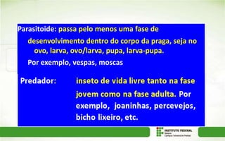 Parasitoide: passa pelo menos uma fase de
desenvolvimento dentro do corpo da praga, seja no
ovo, larva, ovo/larva, pupa, larva-pupa.
Por exemplo, vespas, moscas
 