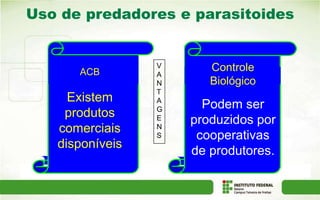Uso de predadores e parasitoides
V
A
N
T
A
G
E
N
S
ACB
Existem
produtos
comerciais
disponíveis
Controle
Biológico
Podem ser
produzidos por
cooperativas
de produtores.
 