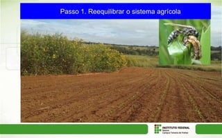 Passo 1. Reequilibrar o sistema agrícola
 