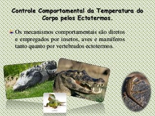 Controle Comportamental da Temperatura do
Corpo pelos Ectotermos.
Os mecanismos comportamentais são diretos
e empregados por insetos, aves e mamíferos
tanto quanto por vertebrados ectotermos.
 