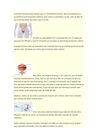 O primeiro tema que quero abordar aqui é a “Incontinência Urinária”. Mas pra entendermos a
incontinência acho importante sabermos antes como é a continência, ou seja, antes de falar do
que é anormal temos que saber o que é normal.

Na figura ao lado podemos ver a localização dos rins. O sangue que
passa por ali é filtrado e o que for necessário ser excretado vai para bexiga através dos ureteres.
A bexiga funciona como um reservatório até o momento da urina ser expelida através da micção
(ato de urinar). Da bexiga sai a uretra, que é canal por onde urinamos.

Aqui temos uma imagem da bexiga. É um orgão oco, com um tecido
muscular chamado detrusor. Então, toda vez que você ouvir falar em contrações do detrusor
saiba que se trata do músculo da bexiga. Pois é, a bexiga é um musculo, mas é daquele tipo
que não temos controle voluntário, ou seja, não temos o poder de contrair e relaxar a bexiga de
forma direta quando bem entendermos. O que não quer dizer que não temos controle sobre
nossa micção, senão andaríamos todos de fralda até hoje.
Observe a uretra e ao seu redor a presença de músculos peri-uretrais. Sobre esses músculos
peri-uretrais nós temos controle direto.

Esta é uma outra visão dos músculos que estão em volta da uretra.
Observe o esfíncter da uretra e os músculos do períneo. São todos músculos de controle
voluntário.
Vamos começar a pensar a respeito. A bexiga é um órgão oco, que armazena urina. Imagine
esse reservatório enchendo e com uma abertura embaixo (a uretra).

 