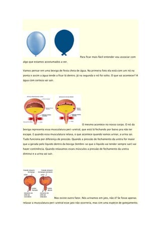 Para ficar mais fácil entender vou associar com
algo que estamos acostumados a ver.
Vamos pensar em uma bexiga de festa cheia de água. Na primeira foto ela está com um nó na
ponta e assim a água tende a ficar lá dentro. Já na segunda o nó foi solto. O que vai acontecer? A
água com certeza vai sair.

O mesmo acontece no nosso corpo. O nó da
bexiga representa essa musculatura peri-uretral, que está lá fechando por baixo pra não ter
escape. E quando essa musculatura relaxa, o que acontece quando vamos urinar, a urina sai.
Tudo funciona por diferença de pressão. Quando a pressão de fechamento da uretra for maior
que a gerada pelo líquido dentro da bexiga (lembre-se que o líquido vai tender sempre sair) vai
haver continência. Quando relaxamos esses músculos a pressão de fechamento da uretra
diminui e a urina vai sair.

Mas existe outro fator. Nós urinamos em jato, não é? Se fosse apenas
relaxar a musculatura peri-uretral esse jato não ocorreria, mas sim uma espécie de gotejamento.

 