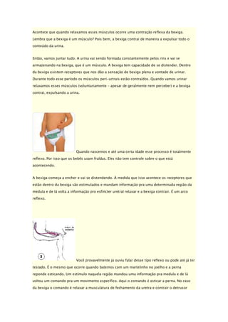 Acontece que quando relaxamos esses músculos ocorre uma contração reflexa da bexiga.
Lembra que a bexiga é um músculo? Pois bem, a bexiga contrai de maneira a expulsar todo o
conteúdo da urina.
Então, vamos juntar tudo. A urina vai sendo formada constantemente pelos rins e vai se
armazenando na bexiga, que é um músculo. A bexiga tem capacidade de se distender. Dentro
da bexiga existem receptores que nos dão a sensação de bexiga plena e vontade de urinar.
Durante todo esse período os músculos peri-urtrais estão contraídos. Quando vamos urinar
relaxamos esses músculos (voluntariamente – apesar de geralmente nem perceber) e a bexiga
contrai, expulsando a urina.

Quando nascemos e até uma certa idade esse processo é totalmente
reflexo. Por isso que os bebês usam fraldas. Eles não tem controle sobre o que está
acontecendo.
A bexiga começa a encher e vai se distendendo. À medida que isso acontece os receptores que
estão dentro da bexiga são estimulados e mandam informação pra uma determinada região da
medula e de lá volta a informação pro esfíncter uretral relaxar e a bexiga contrair. É um arco
reflexo.

Você provavelmente já ouviu falar desse tipo reflexo ou pode até já ter
testado. É o mesmo que ocorre quando batemos com um martelinho no joelho e a perna
reponde esticando. Um estímulo naquela região mandou uma informação pra medula e de lá
voltou um comando pra um movimento específico. Aqui o comando é esticar a perna. No caso
da bexiga o comando é relaxar a musculatura de fechamento da uretra e contrair o detrusor

 