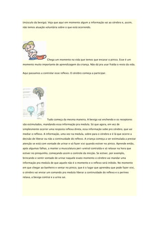 (músculo da bexiga). Veja que aqui em momento algum a informação vai ao cérebro e, assim,
não temos atuação voluntária sobre o que está ocorrendo.

Chega um momento na vida que temos que encarar o pinico. Esse é um
momento muito importante de aprendizagem da criança. Não dá pra usar fralda o resto da vida.
Aqui passamos a controlar esse reflexo. O cérebro começa a participar.

Tudo começa da mesma maneira. A bexiga vai enchendo e os receptores
são estimulados, mandando essa informação pra medula. Só que agora, em vez de
simplesmente ocorrer uma resposta reflexa direta, essa informação sobe pro cérebro, que vai
mediar o reflexo. A informação, uma vez na medula, sobre para o cérebro e é lá que ocorre a
decisão de liberar ou não a continuidade do reflexo. A criança começa a ser estimulada a prestar
atenção se está com vontade de urinar e só fazer xixi quando estiver no pinico. Aprende então,
após algumas falhas, a manter a musculatura peri-uretral contraída e só relaxar na hora que
estiver no piniquinho, começando assim o controle da micção. Se estiver, por exemplo,
brincando e sentir vontade de urinar naquele exato momento o cérebro vai mandar uma
informação pra medula de que aquele não é o momento e o reflexo será inibido. No momento
em que chegar ao banheiro e sentar no pinico, que é o lugar que aprendeu que pode fazer xixi,
o cérebro vai enviar um comando pra medula liberar a continuidade do reflexo e o períneo
relaxa, a bexiga contrai e a urina sai.

 