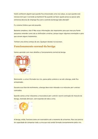 Vocês conhecem alguém que quando fica emocionado urina nas calças, ou que quando está
nervoso tem que ir correndo ao banheiro? Ou quando vai fazer aquela prova ou passar pela
entrevista decisiva de emprego fica com o controle da bexiga todo alterado?
É o sistema límbico que está atuando.
Bastante complexo, não é? Mas essas informações são importantes para que mais pra frente
possamos entender como são as disfunções urinárias, porque seguir algumas orientações e para
que servem alguns tratamentos.
Tenham uma ótimo começo de ano. Qualquer dúvida é só escrever.

Funcionamento normal da bexiga
Vamos aprender com mais detalhes o funcionamento normal da bexiga.

Retomando: a urina é formada nos rins, passa pelos ureteres e vai até a bexiga, onde fica
armazenada .
Durante essa fase de enchimento, a bexiga deve estar relaxada e os músculos peri-uretrais
contraídos.
Quando vamos urinar relaxamos a musculatura peri-uretral e ocorre contração do músculo da
bexiga, chamado detrusor, com expulsão de toda a urina.

A bexiga, então, funciona como um reservatório até o momento de urinarmos. Para isso precisa
ter capacidade de comportar toda a urina que está sendo formada constantemente pelos rins.

 