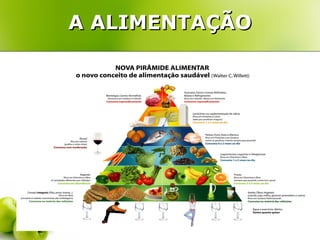 A ALIMENTAÇÃO
 