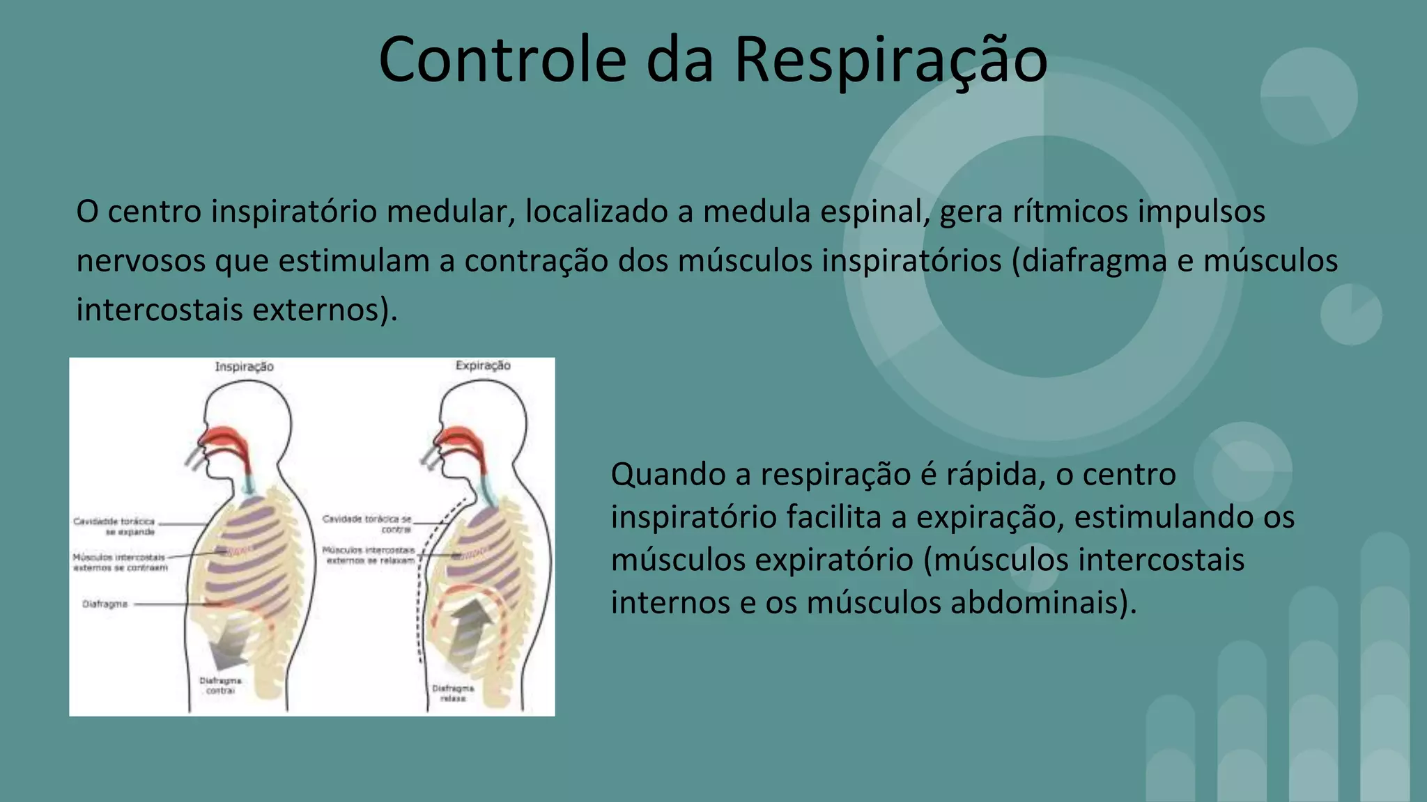 Controle da respiração | PPT