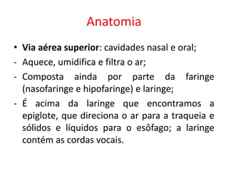 Anatomia
• Via aérea superior: cavidades nasal e oral;
- Aquece, umidifica e filtra o ar;
- Composta ainda por parte da faringe
(nasofaringe e hipofaringe) e laringe;
- É acima da laringe que encontramos a
epiglote, que direciona o ar para a traqueia e
sólidos e líquidos para o esôfago; a laringe
contém as cordas vocais.
 