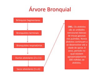 Árvore Bronquial
Brônquios Segmentares
Bronquíolos terminais
Bronquíolos respiratórios
Ductos alveolares (2 a 11)
Sacos alveolares (5 a 6)
OBS.: Os alvéolos
são as unidades
estruturais básicas
de trocas gasosas
nos pulmões. Novos
alvéolos continuam a
se desenvolver até a
idade de aprox. 8
anos, período no
qual existem
aproximadamente
300 milhões de
alvéolos.
 