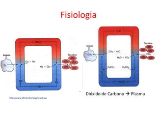 Fisiologia
Dióxido de Carbono  Plasma
http://www.afh.bio.br/resp/resp2.asp
 