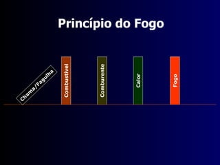 Chama/Fagulha Combustível Comburente Calor Fogo Princípio do Fogo 