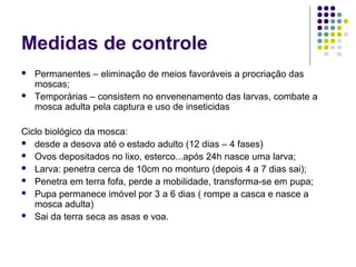 Medidas de controle
 Permanentes – eliminação de meios favoráveis a procriação das
moscas;
 Temporárias – consistem no envenenamento das larvas, combate a
mosca adulta pela captura e uso de inseticidas
Ciclo biológico da mosca:
 desde a desova até o estado adulto (12 dias – 4 fases)
 Ovos depositados no lixo, esterco...após 24h nasce uma larva;
 Larva: penetra cerca de 10cm no monturo (depois 4 a 7 dias sai);
 Penetra em terra fofa, perde a mobilidade, transforma-se em pupa;
 Pupa permanece imóvel por 3 a 6 dias ( rompe a casca e nasce a
mosca adulta)
 Sai da terra seca as asas e voa.
 