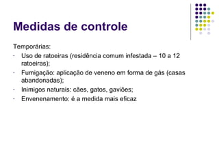 Medidas de controle
Temporárias:
- Uso de ratoeiras (residência comum infestada – 10 a 12
ratoeiras);
- Fumigação: aplicação de veneno em forma de gás (casas
abandonadas);
- Inimigos naturais: cães, gatos, gaviões;
- Envenenamento: é a medida mais eficaz
 
