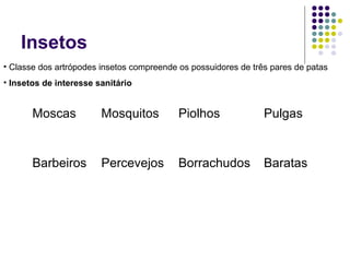 Insetos
• Classe dos artrópodes insetos compreende os possuidores de três pares de patas
• Insetos de interesse sanitário
Moscas Mosquitos Piolhos Pulgas
Barbeiros Percevejos Borrachudos Baratas
 