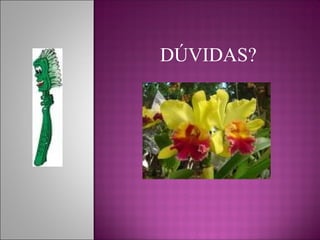 DÚVIDAS?
 
