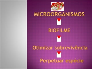 BIOFILME
Otimizar sobrevivência
Perpetuar espécie
 