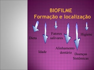 BIOFILME
Formação e localização
Dieta
Idade
Fatores
salivares
Higiene
Alinhamento
dentário Doenças
Sistêmicas
 
