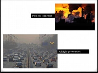 Poluição industrial




                      Poluição por veículos
 