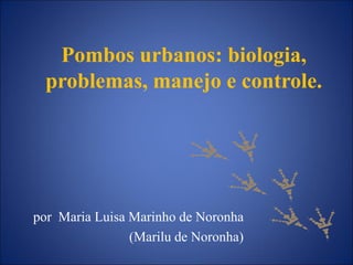 Pombos urbanos: biologia,
problemas, manejo e controle.
por Maria Luisa Marinho de Noronha
(Marilu de Noronha)
 