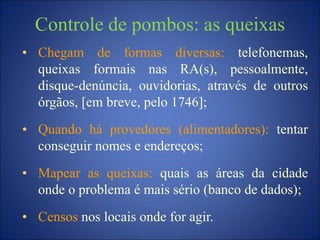 Controle de pombos: as queixas
• Chegam de formas diversas: telefonemas,
queixas formais nas RA(s), pessoalmente,
disque-denúncia, ouvidorias, através de outros
órgãos, [em breve, pelo 1746];
• Quando há provedores (alimentadores): tentar
conseguir nomes e endereços;
• Mapear as queixas: quais as áreas da cidade
onde o problema é mais sério (banco de dados);
• Censos nos locais onde for agir.
 
