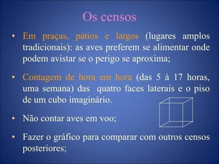 Os censos
• Em praças, pátios e largos (lugares amplos
tradicionais): as aves preferem se alimentar onde
podem avistar se o perigo se aproxima;
• Contagem de hora em hora (das 5 à 17 horas,
uma semana) das quatro faces laterais e o piso
de um cubo imaginário.
• Não contar aves em voo;
• Fazer o gráfico para comparar com outros censos
posteriores;
 