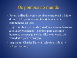 Os pombos no mundo
• Foram utilizados como pombos-correio até o início
do séc. XX (pombais militares), também em
competições de tiro;
• Hoje: pombos de corrida (criadores no mundo todo e
alto valor zootécnico), pombos para consumo
humano, para pesquisa científica e obtenção de
variedades para exposição;
• Inspiraram Charles Darwin (seleção artificial >
seleção natural).
 