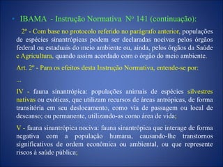 • IBAMA - Instrução Normativa No 141 (continuação):
2º - Com base no protocolo referido no parágrafo anterior, populações
de espécies sinantrópicas podem ser declaradas nocivas pelos órgãos
federal ou estaduais do meio ambiente ou, ainda, pelos órgãos da Saúde
e Agricultura, quando assim acordado com o órgão do meio ambiente.
Art. 2º - Para os efeitos desta Instrução Normativa, entende-se por:
...
IV - fauna sinantrópica: populações animais de espécies silvestres
nativas ou exóticas, que utilizam recursos de áreas antrópicas, de forma
transitória em seu deslocamento, como via de passagem ou local de
descanso; ou permanente, utilizando-as como área de vida;
V - fauna sinantrópica nociva: fauna sinantrópica que interage de forma
negativa com a população humana, causando-lhe transtornos
significativos de ordem econômica ou ambiental, ou que represente
riscos à saúde pública;
 