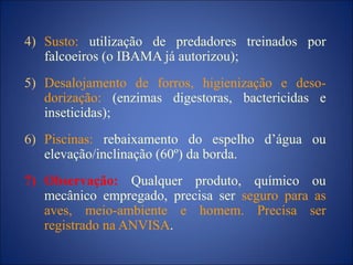 4) Susto: utilização de predadores treinados por
falcoeiros (o IBAMA já autorizou);
5) Desalojamento de forros, higienização e deso-
dorização: (enzimas digestoras, bactericidas e
inseticidas);
6) Piscinas: rebaixamento do espelho d’água ou
elevação/inclinação (60º) da borda.
7) Observação: Qualquer produto, químico ou
mecânico empregado, precisa ser seguro para as
aves, meio-ambiente e homem. Precisa ser
registrado na ANVISA.
 