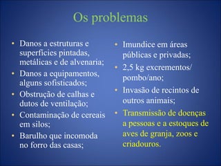 Os problemas
• Imundice em áreas
públicas e privadas;
• 2,5 kg excrementos/
pombo/ano;
• Invasão de recintos de
outros animais;
• Transmissão de doenças
a pessoas e a estoques de
aves de granja, zoos e
criadouros.
• Danos a estruturas e
superfícies pintadas,
metálicas e de alvenaria;
• Danos a equipamentos,
alguns sofisticados;
• Obstrução de calhas e
dutos de ventilação;
• Contaminação de cereais
em silos;
• Barulho que incomoda
no forro das casas;
 