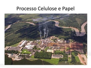 Processo Celulose e Papel
14
 