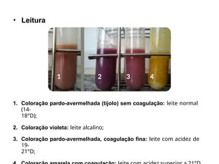 • Leitura
1. Coloração pardo-avermelhada (tijolo) sem coagulação: leite normal
(14-
18°D);
2. Coloração violeta: leite alcalino;
3. Coloração pardo-avermelhada, coagulação fina: leite com acidez de
19-
21°D;
1 2 3 4
 