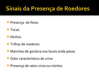  Presença de fezes
 Tocas
 Ninhos
 Trilhas de roedores
 Manchas de gordura nos locais onde passa
 Odor característico de urina
 Presença de ratos vivos ou mortos
 