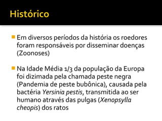  Em diversos períodos da história os roedores
foram responsáveis por disseminar doenças
(Zoonoses)
 Na Idade Média 1/3 da população da Europa
foi dizimada pela chamada peste negra
(Pandemia de peste bubônica), causada pela
bactéria Yersinia pestis, transmitida ao ser
humano através das pulgas (Xenopsylla
cheopis) dos ratos
 