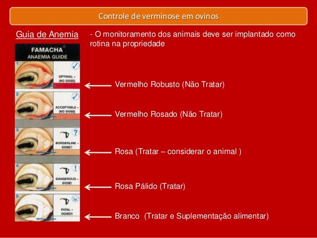 Resultado de imagem para verminose em caprinos e ovinos