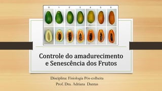 Controle do amadurecimento
e Senescência dos Frutos
Disciplina: Fisiologia Pós-colheita
Prof. Dra. Adriana Dantas
 