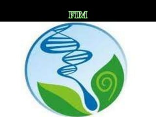 Controle do movimento das plantas